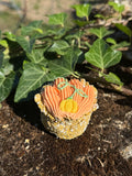 Cupcake Citrouille grimpante