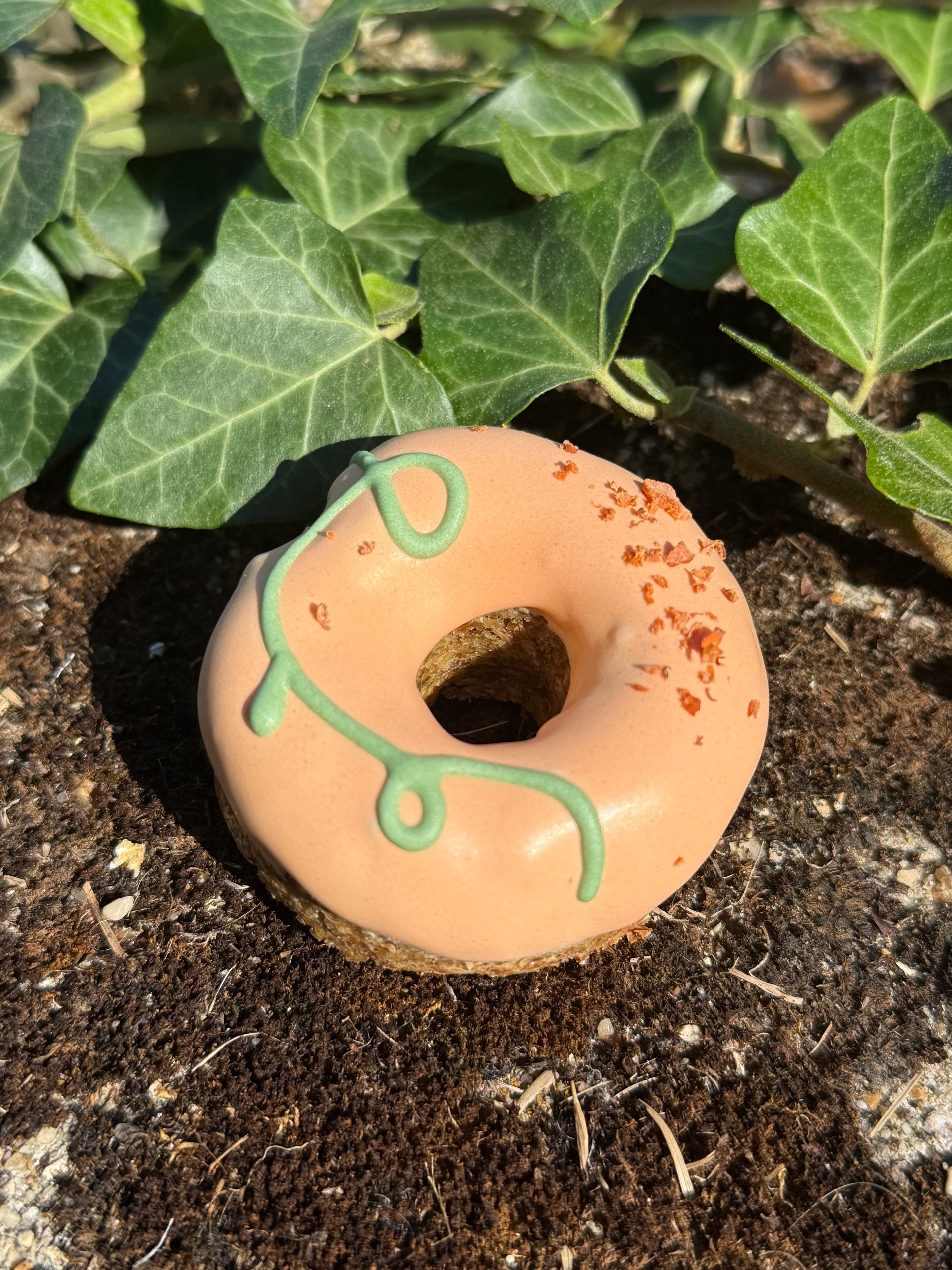 Donuts citrouille