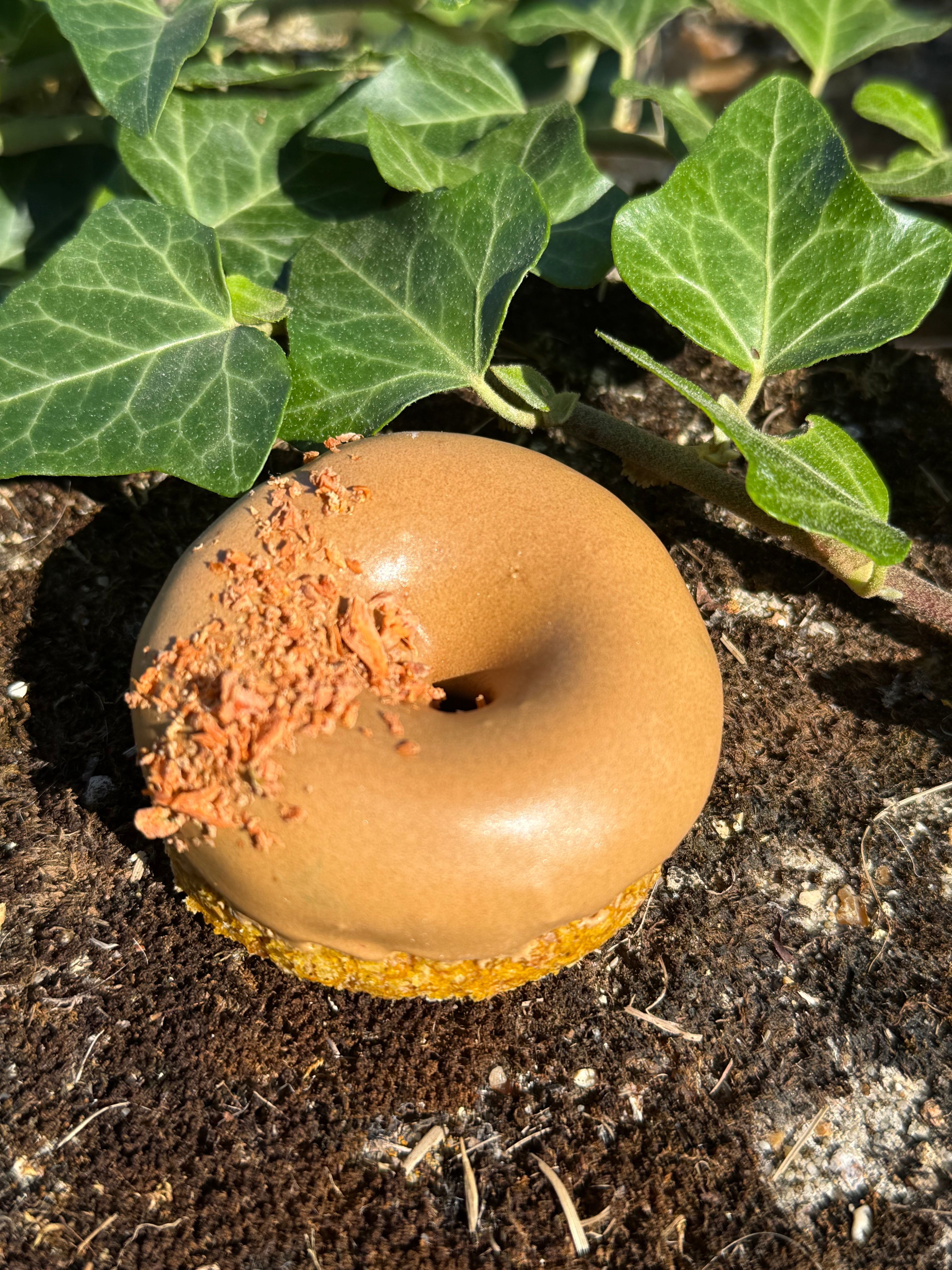 Donuts promenade en forêt