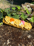 Eclair promenade en forêt
