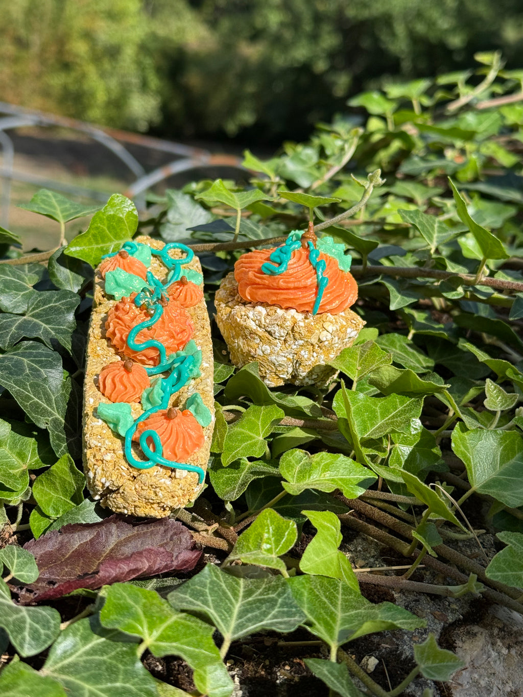 Eclair le jardin aux Citrouille