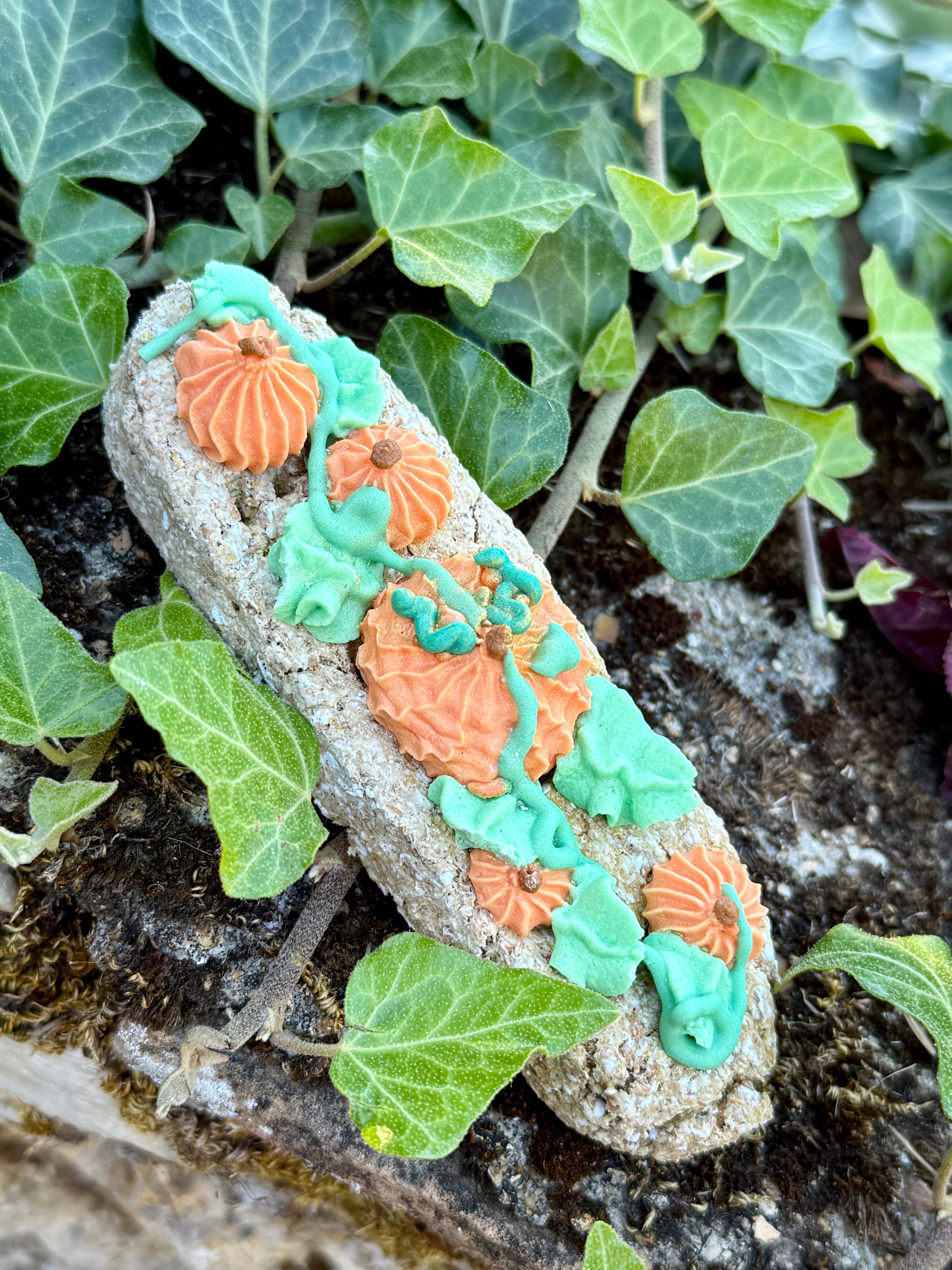 Eclair le jardin aux Citrouille